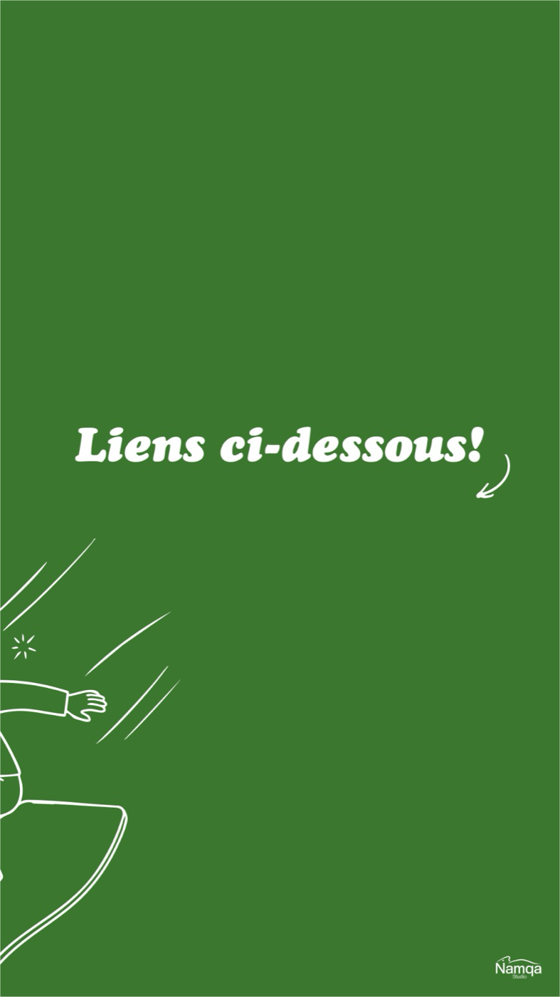 Story « Liens » Namqa
